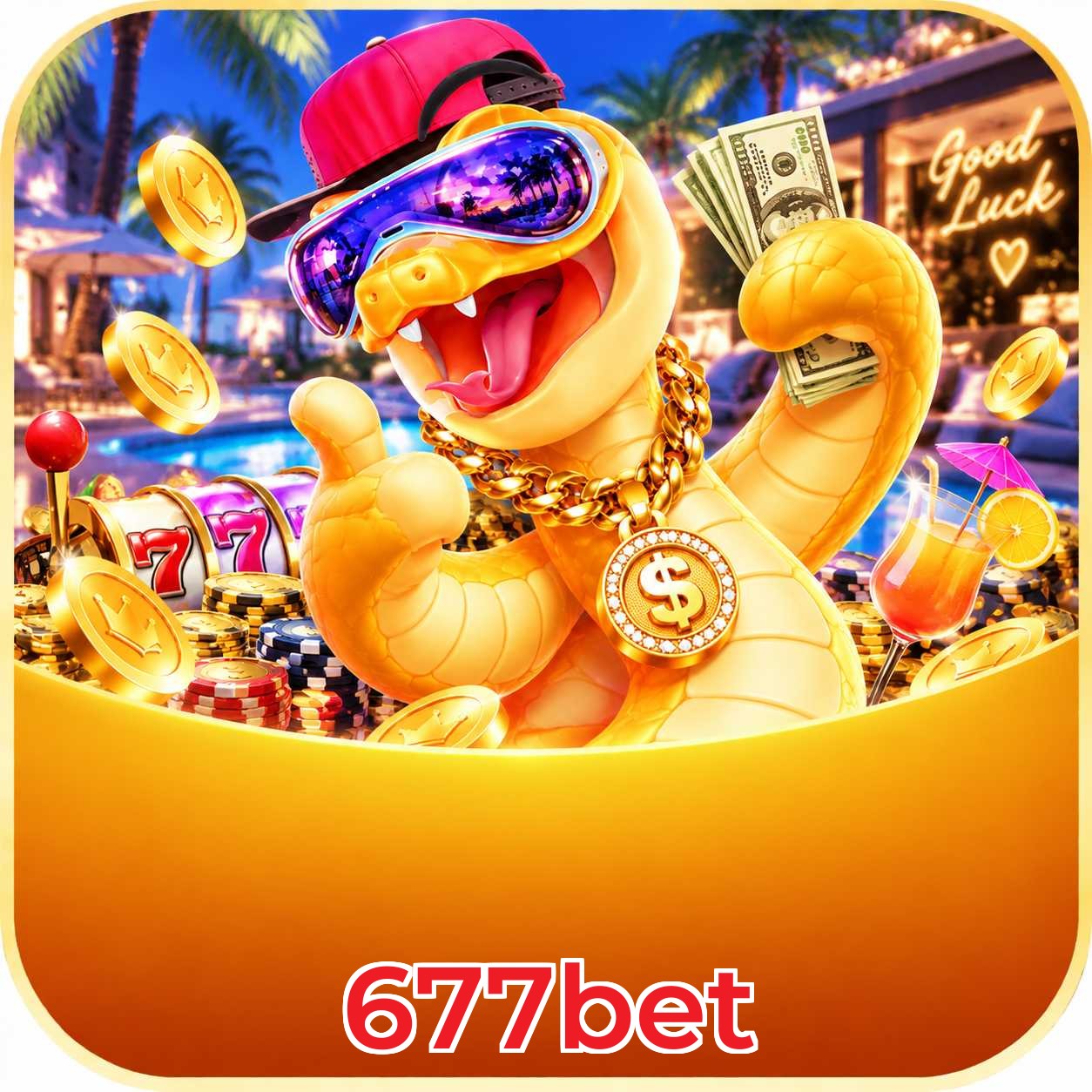 677bet Plataforma Confiável